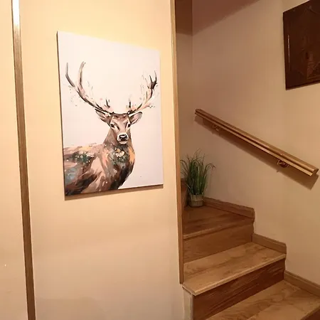 Duplex D'ainet - Vall De Cardos - L'amfitriona Apartment